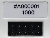 T2000 SN (close up).png