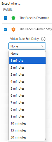 Video Rule Exit Delay option.png